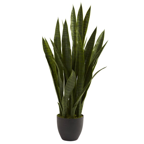 Faux Snake Plant in Pot & Reviews | Joss & Main