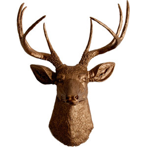 Animal Head Wall Decor faux taxidermy wall accents you'll love | wayfair Animal Head Wall Decor faux taxidermy wall accents you'll love | wayfair