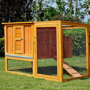 Chicken Coop with Nesting Box and Outdoor Run