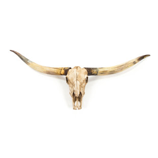 Longhorn Skull Decor Wayfair Bull Skull Wall Décor