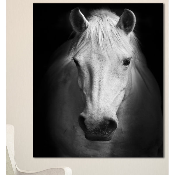 Horse Pictures Wayfair