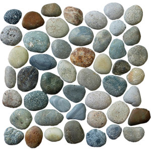 Classic Random Sized Natural Stone Pebble Tile in River Grey Blend