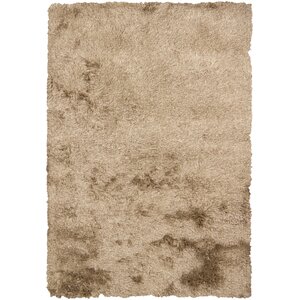 Petrina Brown Solid Area Rug