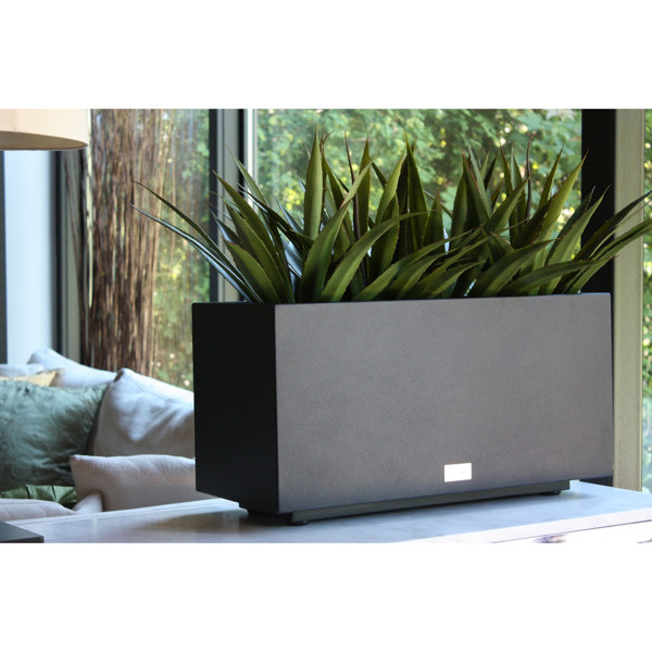Large Galvanized Planters Large Galvanized Planters