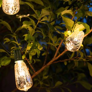 10 Light Novelty String Light