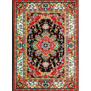 Dunlap Black/Red Indoor/Outdoor Area Rug