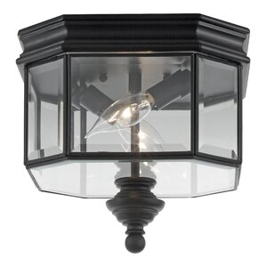 Burrell 2-Lights Outdoor Flush Mount