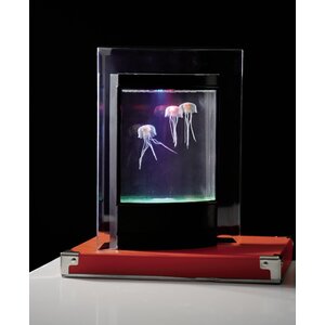 Jellyfish Aquarium with Color-Changing LED Lights