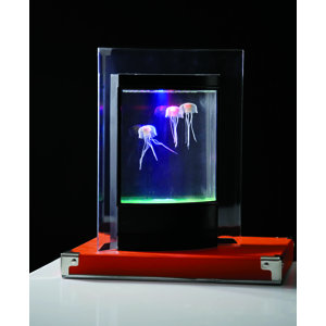 Jellyfish Aquarium with Color-Changing LED Lights