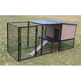Dog Kennels You Ll Love Wayfair Castle Run Kennel