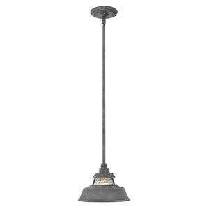 Fifine 1-Light Outdoor Pendant