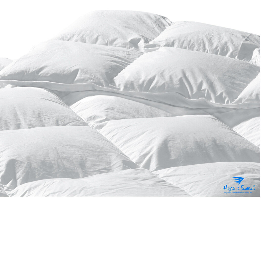 Canadian Standard European Down Duvet 260 T C 550 Loft Custom In