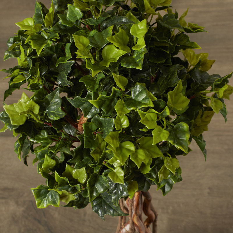 Darby Home Co Artificial English Ivy Topiary Tree in Pot & Reviews