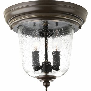 Drumakeely 2-Light Outdoor Flush Mount