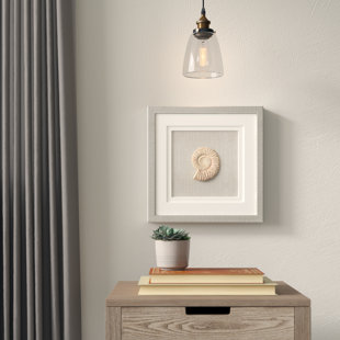 Studio Decor Shadow Box Wayfair Nautilus Shadow Box Wall Décor