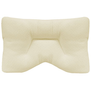 Foam Pillow by Alwyn Home