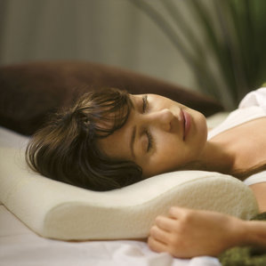 White Memory Foam Pillow (Set of 2) by Alwyn Home