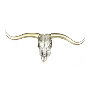 Bull Skull Wall Decor Wayfair Bull Skull Wall Décor