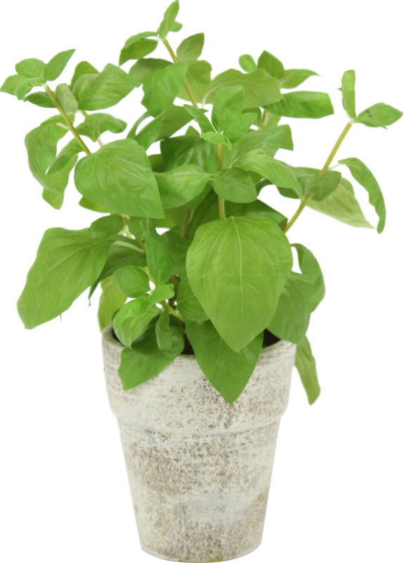 Distinctive Designs Silk Basil Spray Floor Foliage Plant in Pot