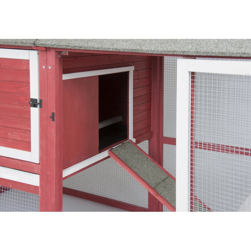 Chicken Coop With Roosting Bar