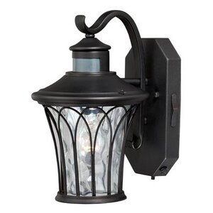 Abigail 1-Light Outdoor Wall Lantern