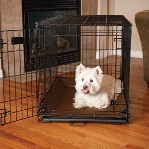 Odor-Control Crate Pad Cover