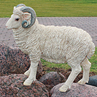Outdoor Resin Sheep Statues Wayfair