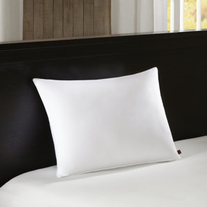300 Thread Count Down Alternative Pillow by Woolrich