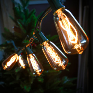 Edison Style 10 Light Novelty String Lights
