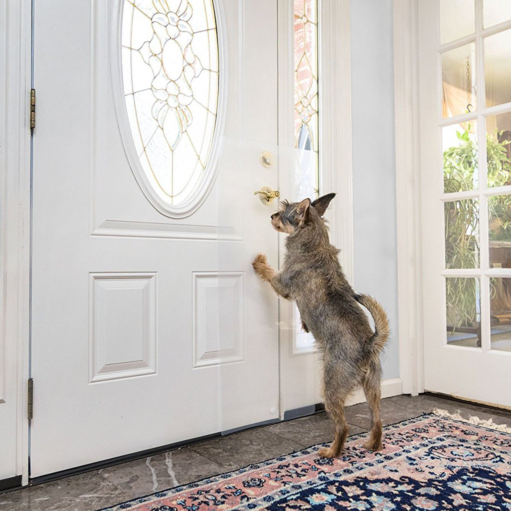Clawguard Door And Door Frame Scratch Shield Installation