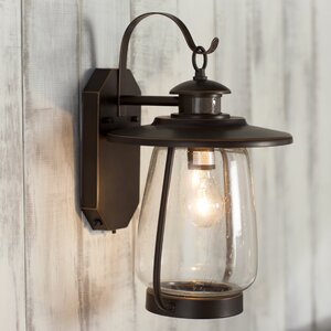 Ashford 1-Light Outdoor Wall Lantern