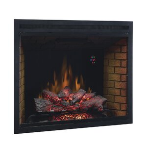 Huckstep Dual Voltage Option Traditional Electric Fireplace Insert