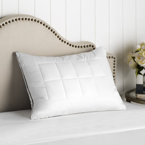 Feather and Down Alternative Compartment Pillow (Set of 2) by Alwyn Home