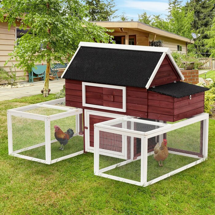 Garnett Modular Wooden Backyard Chicken Coop With Nesting Box And Dual Outdoor Runs