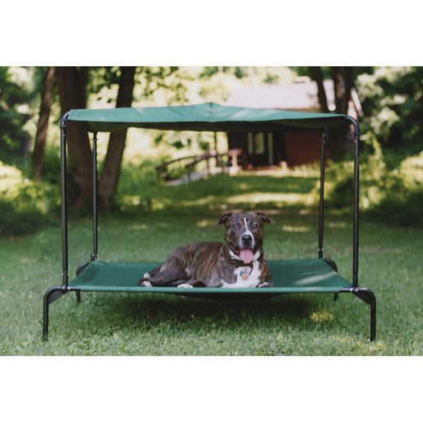 Kittywalk Systems Puppywalk Indoor/Outdoor Ultra Breezy Dog Bed with ... Kittywalk Systems Puppywalk Indoor/Outdoor Ultra Breezy Dog Bed with ...