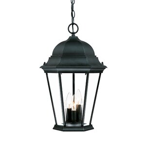 Gregoire 3-Light Outdoor Hanging Lantern