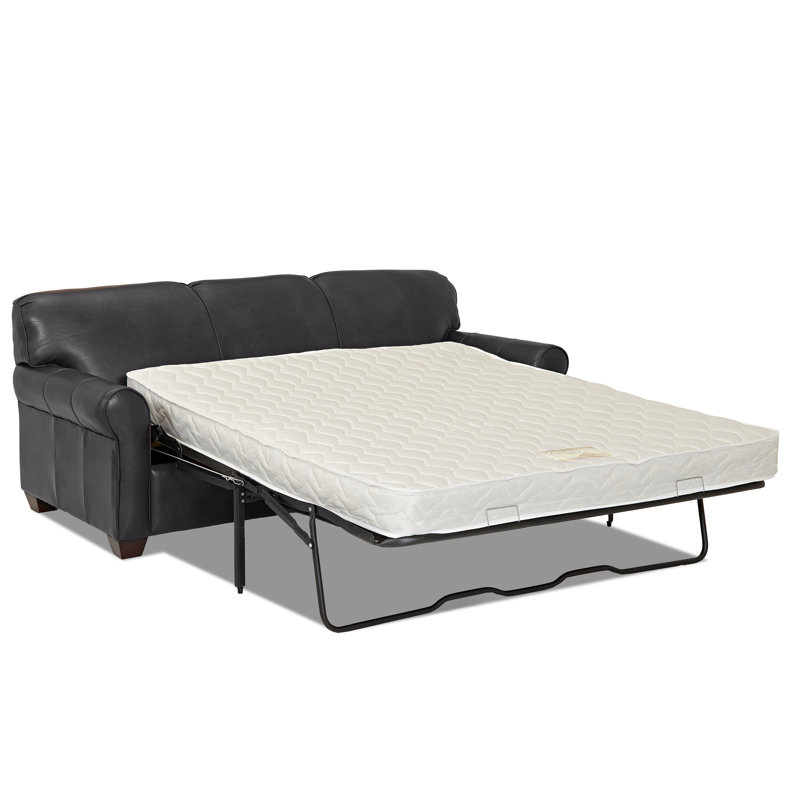 Jennifer Leather Sofa Bed Reviews Birch Lane Jennifer Leather Sofa Bed