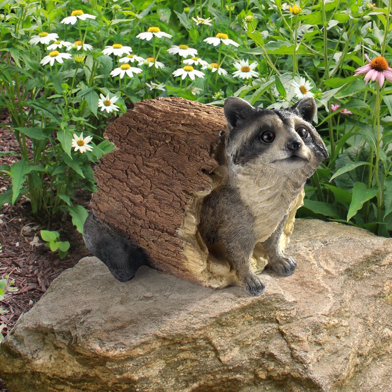 concrete raccoon garden statue