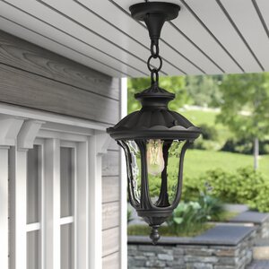 Gurnee 1-Light Outdoor Hanging Lantern