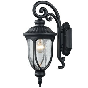 Adrienne 1-Light Outdoor Wall Sconce