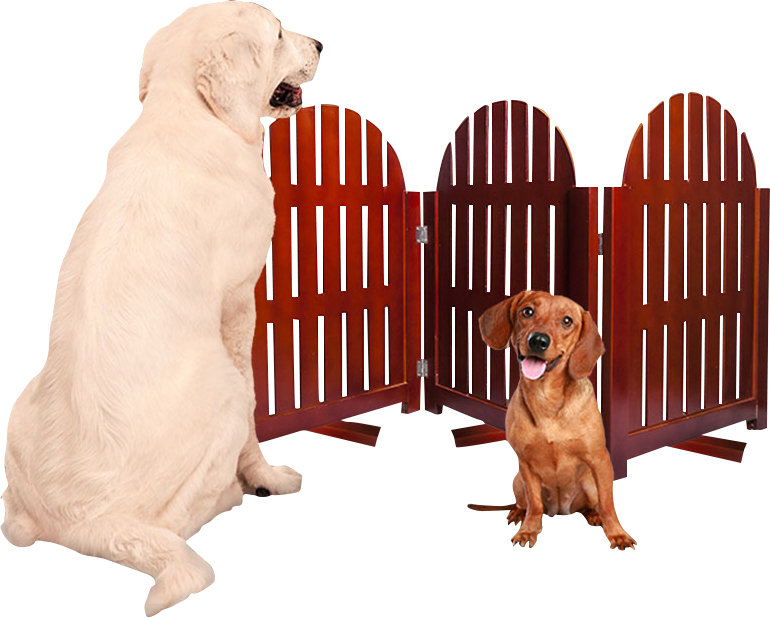 Zoey Tails Freestanding Pet Gate with Swivel Feet & Reviews Wayfair