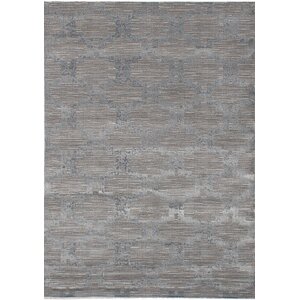 Finian Gray Oriental Area Rug