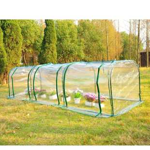 Polytunnel Wayfair Co Uk 3m W X 1m D Poly Tunnel Greenhouse