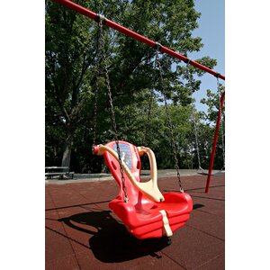 Inclusive Swing Seat