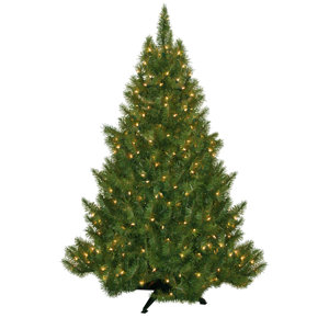 4.5' Evergreen Fir Artificial Christmas Tree with 250 Clear Lights