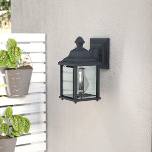 Talmadge 1-Light Glass Outdoor Wall Lantern