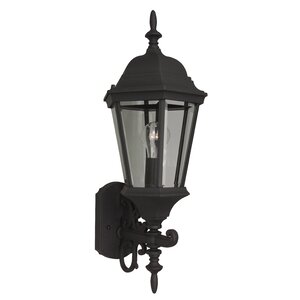 Oakhill Traditional Glass 1-Light Outdoor Sconce