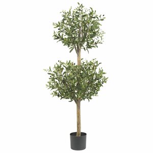 Olive Double Round Topiary in Pot