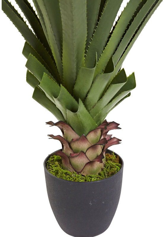 Nearly Natural Spiked Agave Floor Plant in Pot & Reviews Wayfair