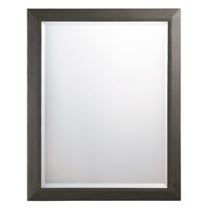 Bronze Mirrors You'll Love | Wayfair